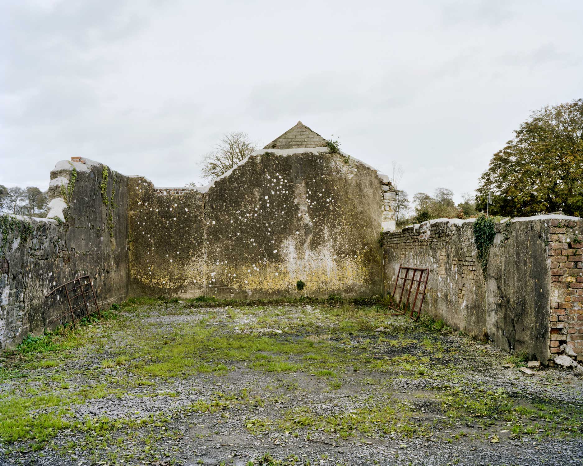 These are relics of a once vibrant chapter of Irish life. Like the dolmens John Montague crafted as a metaphor for the old people of his childhood, the ruins of these abandoned alleys bear silent testimony to a feature of Ireland that has perished through time and modernization. These plain walls were once the thriving open-air theatre's of their day. They were familiar meeting points, where people played games long into long summer evenings, and others gathered for simple companionship and discourse. The alleys came alive at a time in Ireland when human interaction needed little in the way of sophisticated props or accompaniments. In rural Ireland in particular handball captured the public imagination and societies grew around the games and the alleys which staged them. They became prized places of refuge, offering an escape from ordinary, hard-working lives. At the ball alleys, some strategically placed at crossroads in the open countryside, generations happily fraternized. Some were drawn by the magic and noise of a game which has deep Irish roots. But the alley was more than a sporting venue; it became a vital anchor for the community and an invaluable leisure outlet. It also served as an unofficial meeting point for lovers and revolutionaries. Even as a location for executions. It had an open charter - multiple, indiscriminate possibilities. Like Montague's dolmens, some alleys survive - a portion of them intact and a minority enjoying new leases of life. But the majority are disappearing slowly from the landscape to the point where they will eventually become extinct. Many have been merged and camouflaged into other structures, like farmyard sheds or car parks, so that they are barely recognizable or identifiable. Many others are simply abandoned and overgrown. Old handball players and the game's scattered aficionados will recall their last hurrah 50 odd years ago or more, after they had thrived across the country for over a century, before television and better transport began to signal their decline and offer alternative means of entertainment and social collusion - leaving each one in turn to become a tomb for a lost civilization.