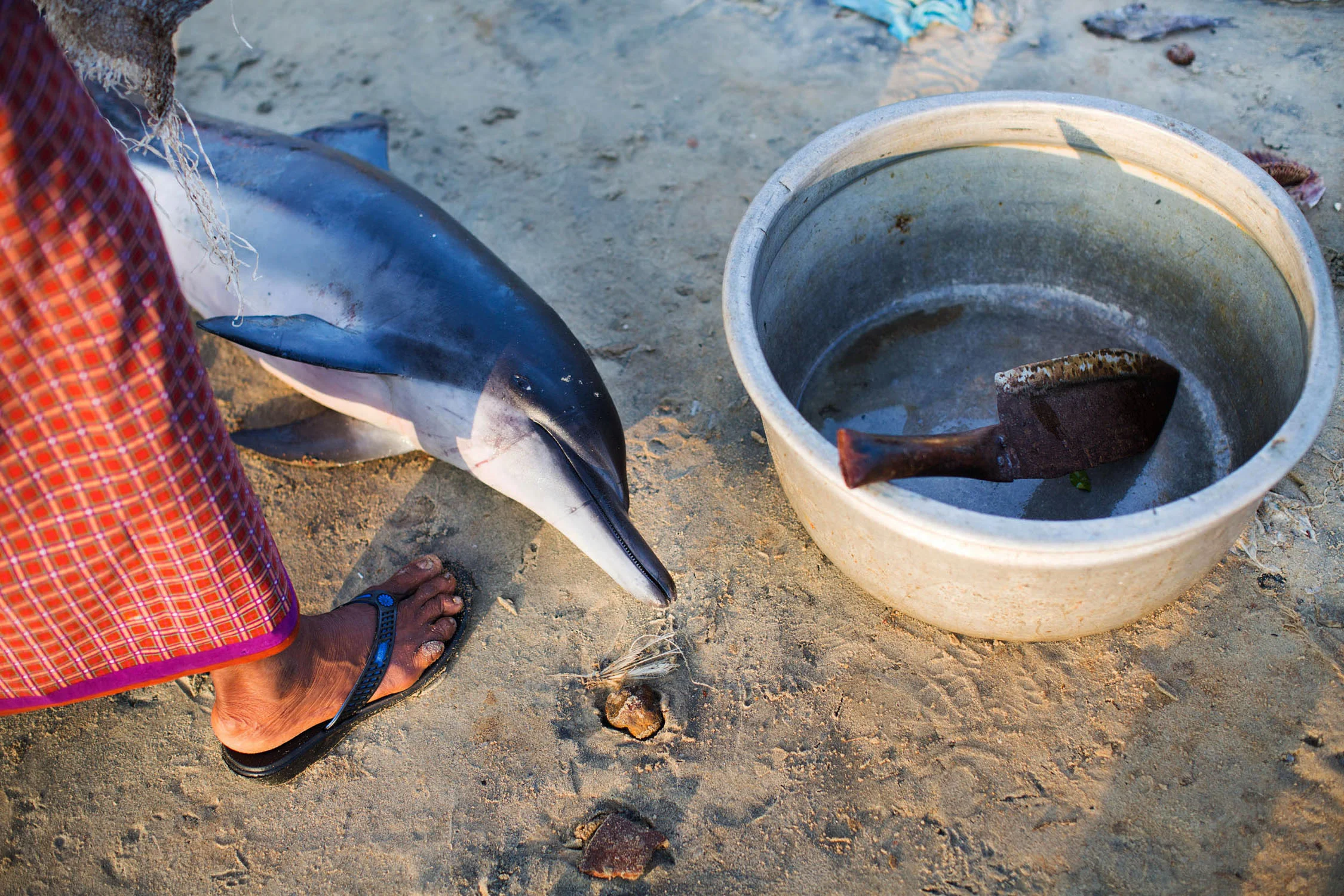Trivandrum, the capital city of the Indian state of Kerala