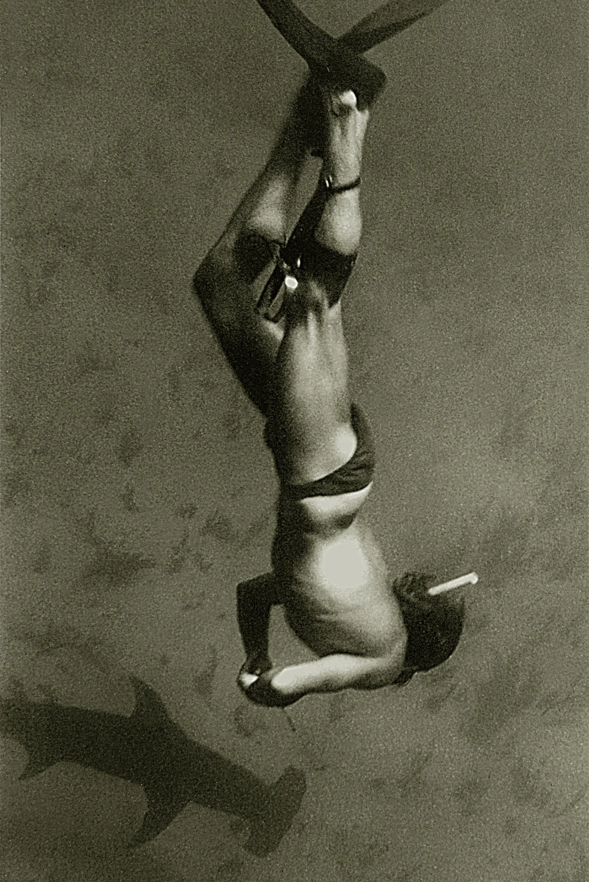 Wolfgang Leander freediving and approaching hammerhead (not to spear) in The Bahamas during the 70s. Image by: Lyn Nelson