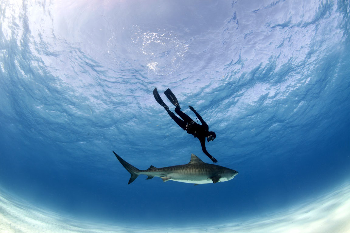 Photo by: Fiona Ayerst