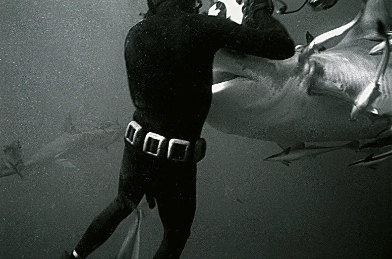 My dad always said you need to get close to your subjects...Thomas Peschak with Tiger Shark in South Africa. Photo by Wolfgang Leander 2007