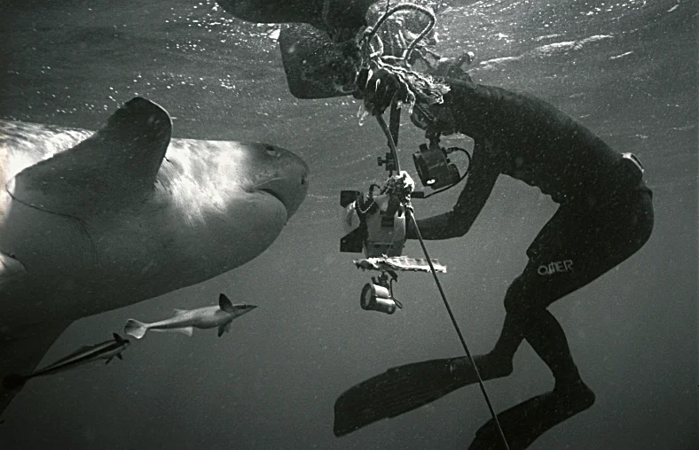 Thomas with large Tiger Shark in South Africa. Photo by Wolfgang Leander 2007
