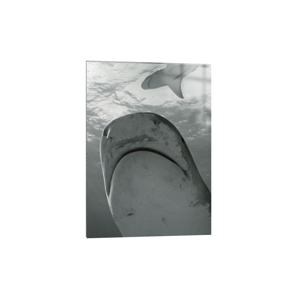 metalprint_rectangle5_7_0_39_715_1001_0.png
