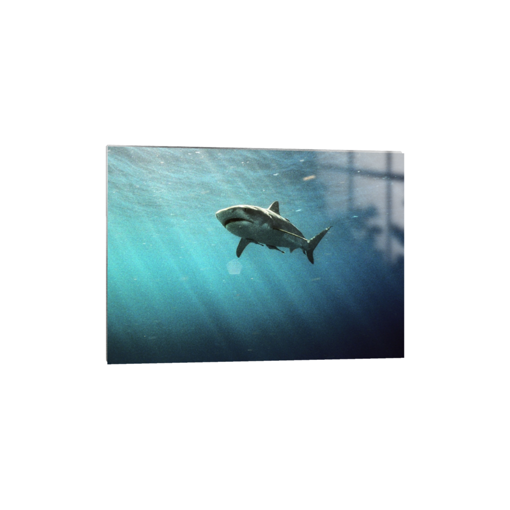 metalprint_rectangle5_7_0_0_1049_749_0.png