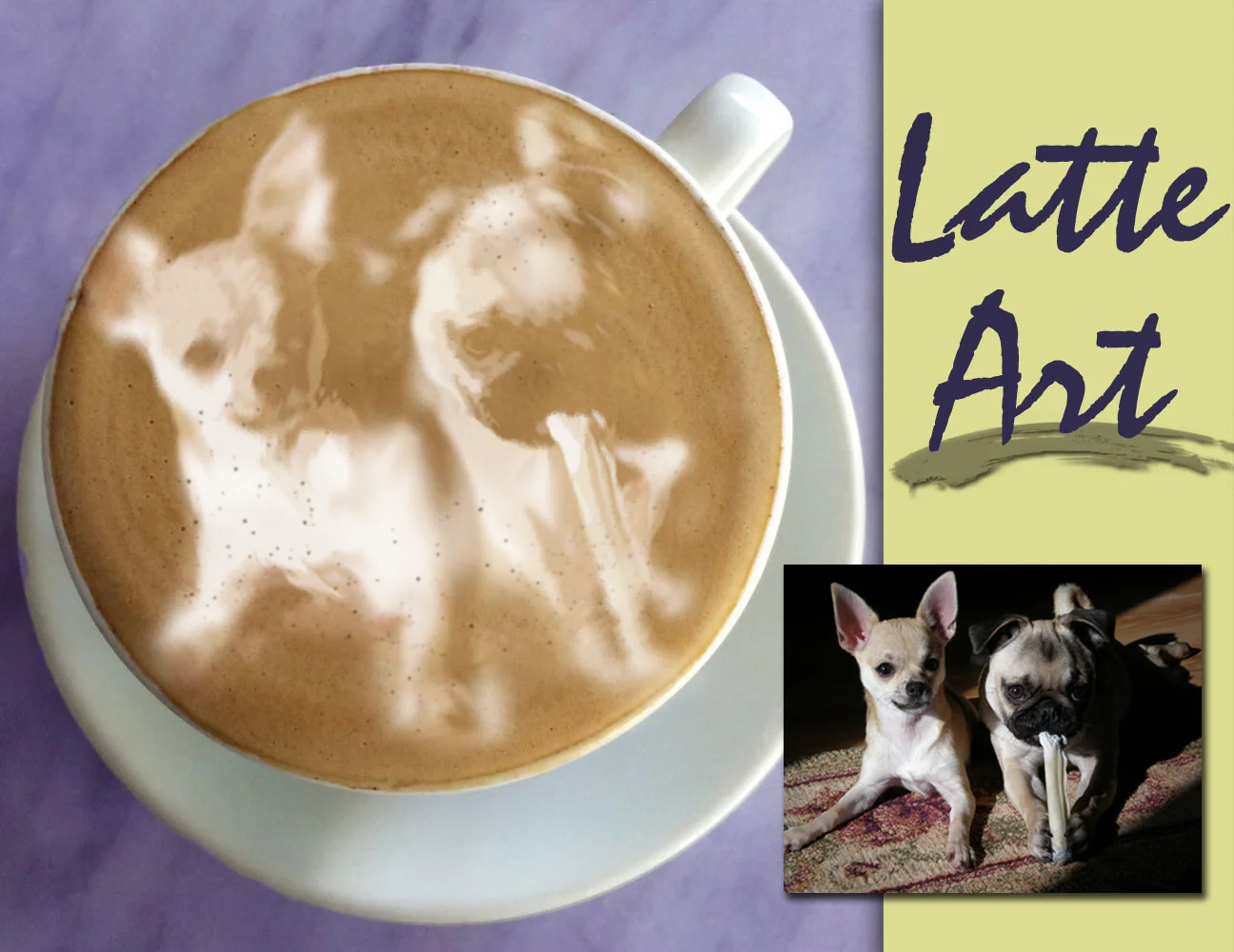 Doggie Latte