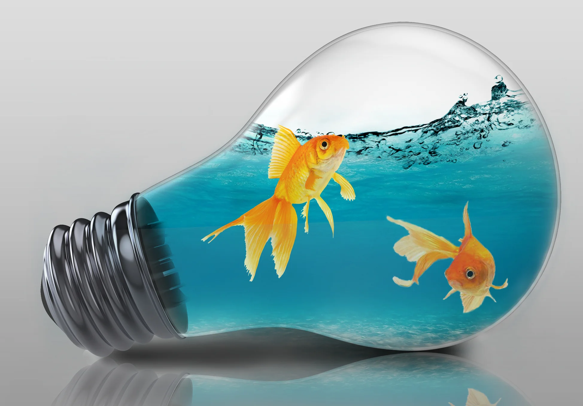Fishy Idea...