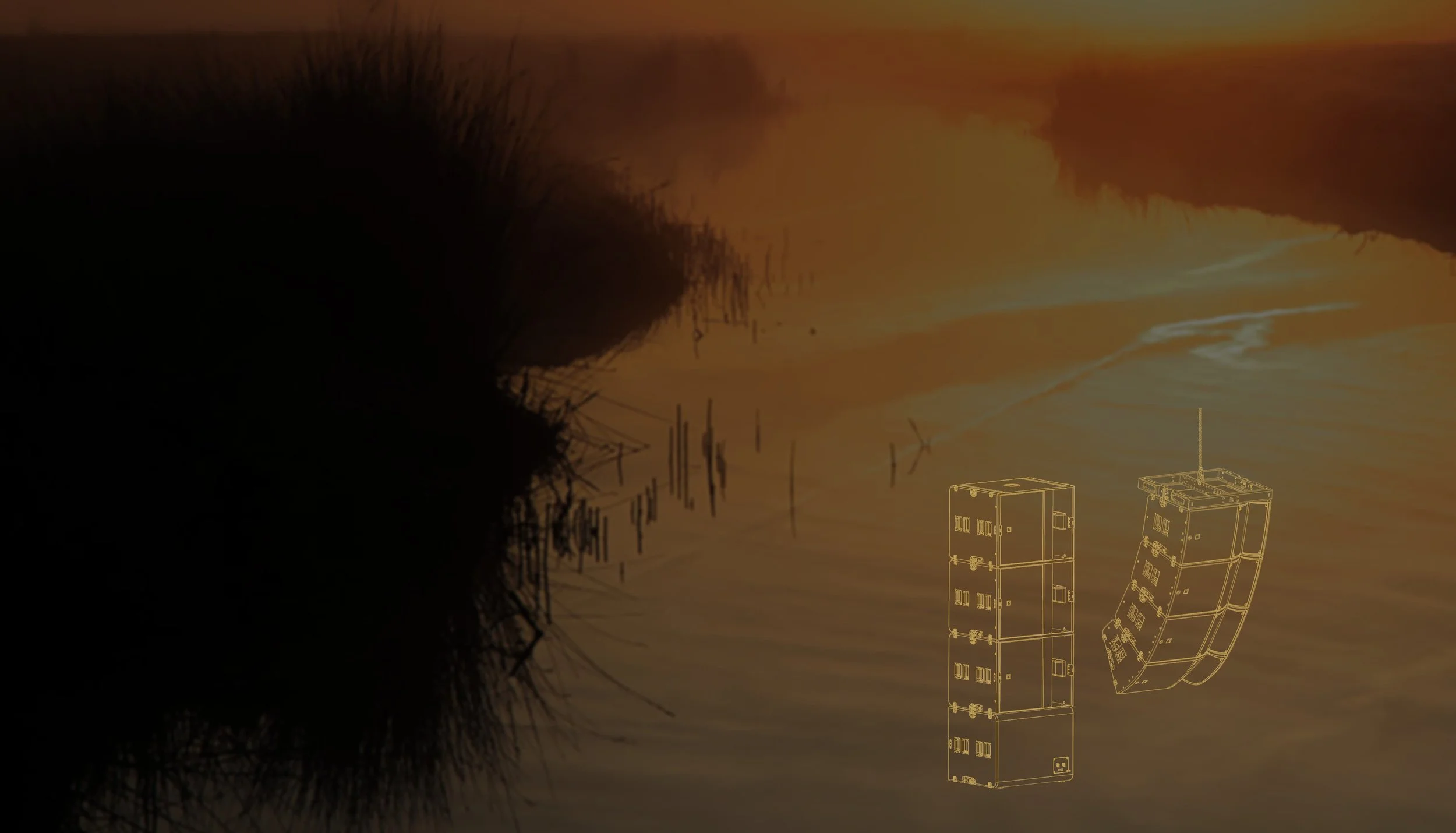 AAP - Website background.jpg