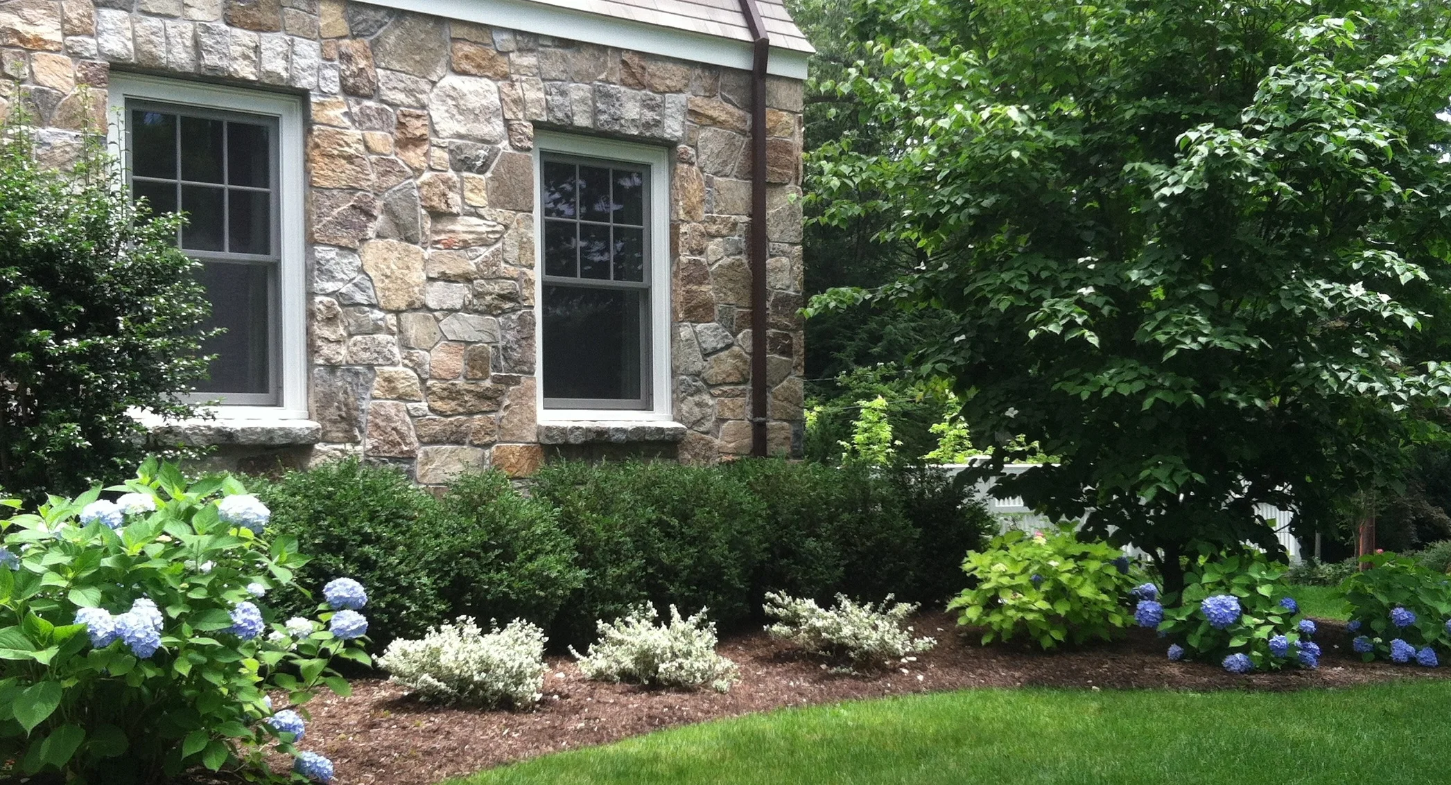 rand12:2105 copy.JPG