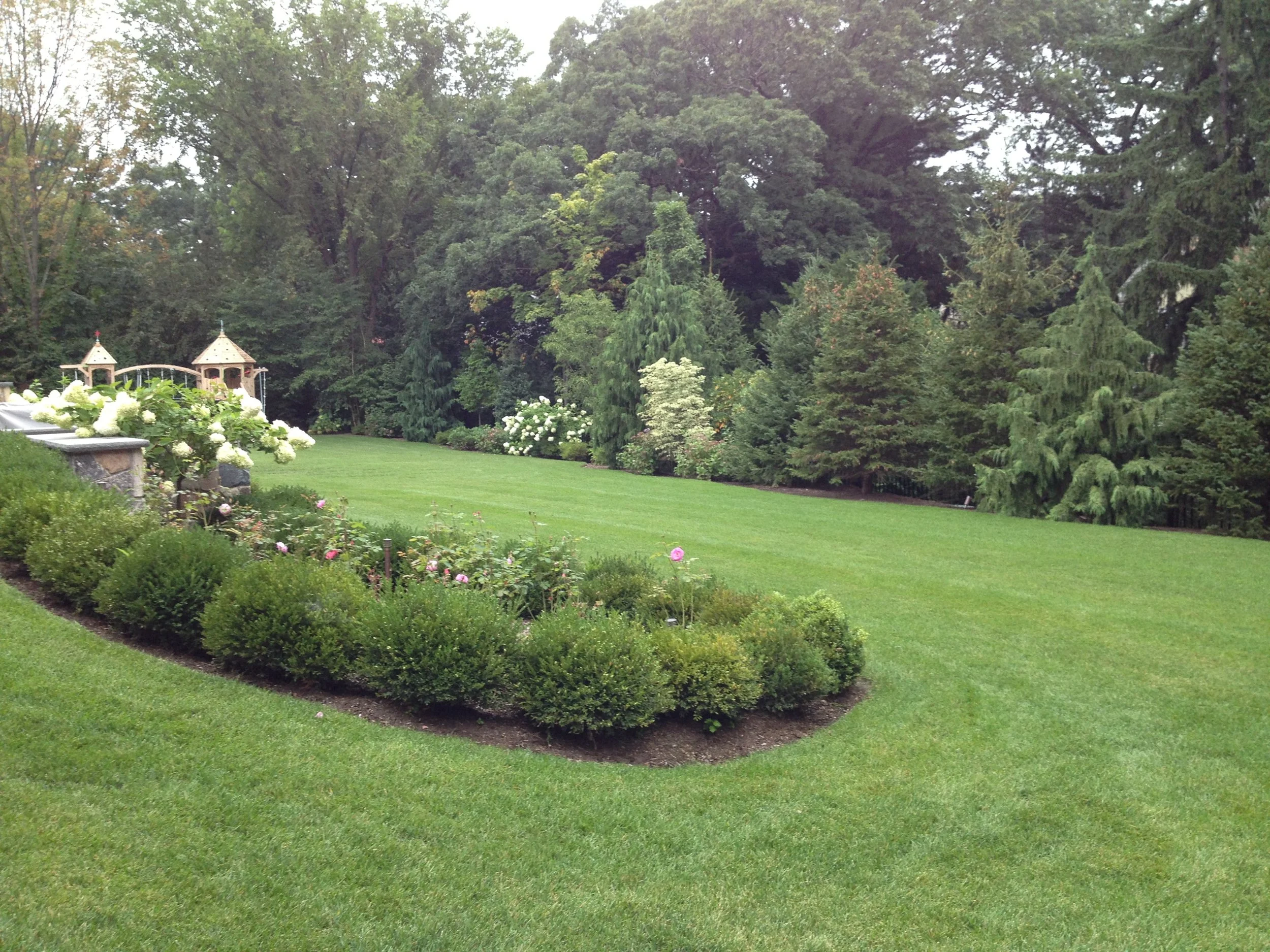 rand19:1015 copy.JPG