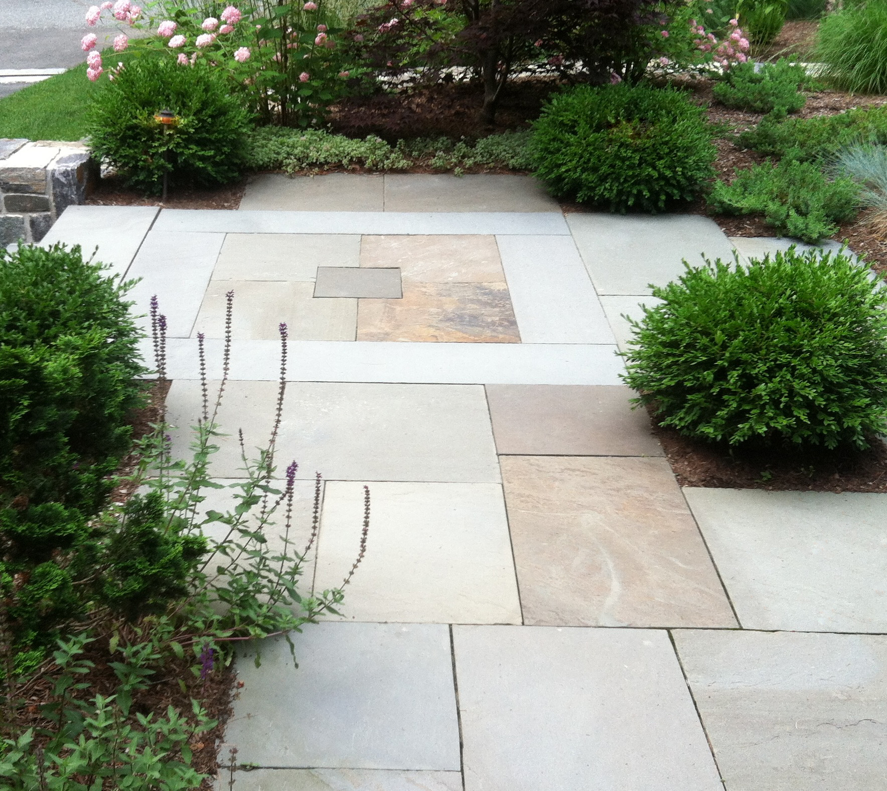 #1 IMG_4825 copy.JPG