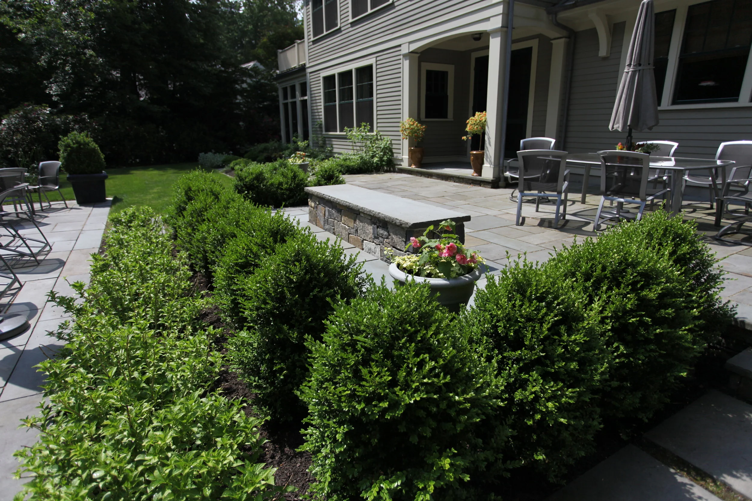 wellesley5:2015 copy.JPG