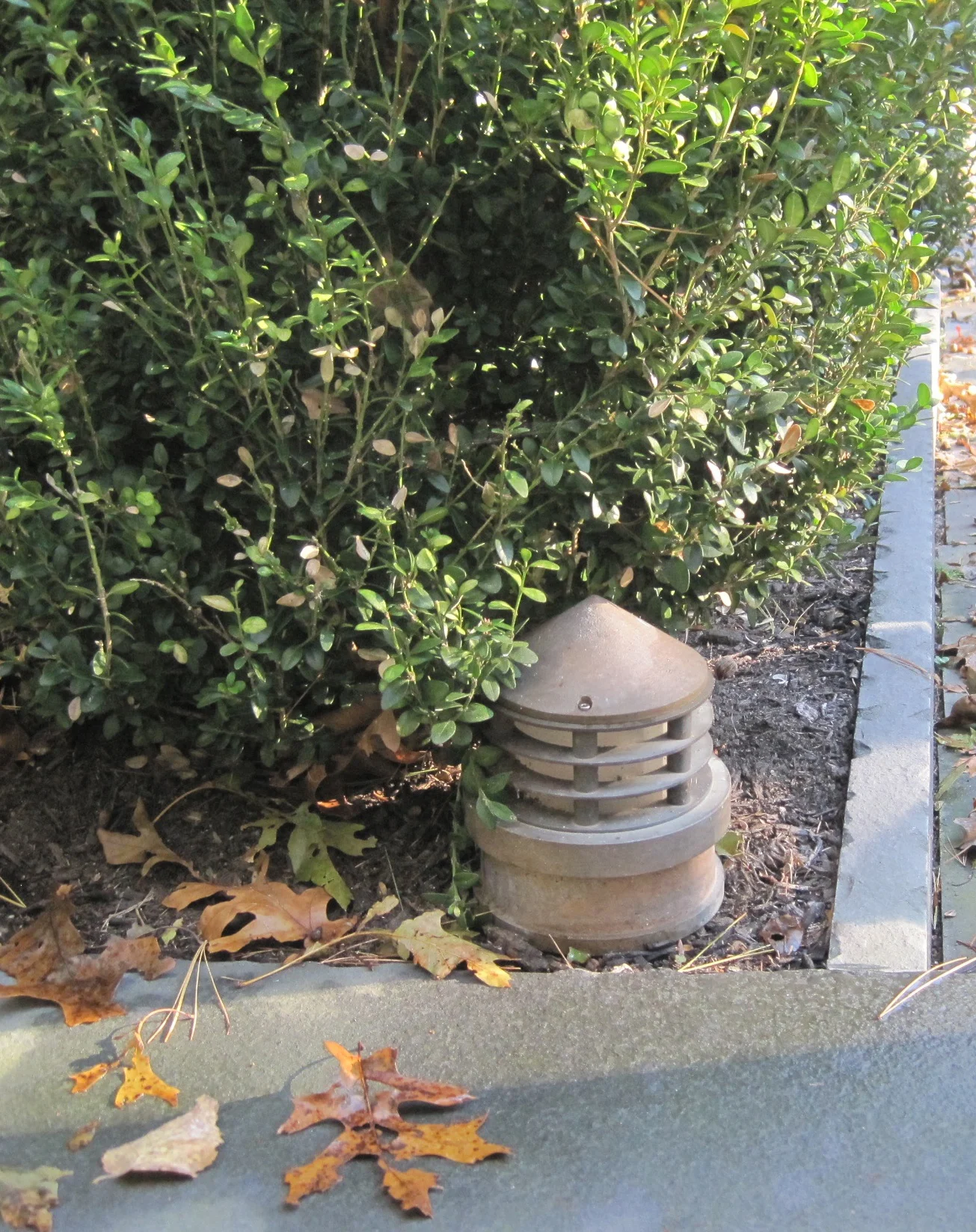 wellesley20:2015 copy.JPG