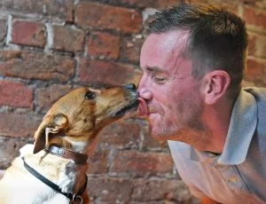 Sconehead the rescued dog found a place of honour in his rescuer's home. PHOTO: Liverpool Echo