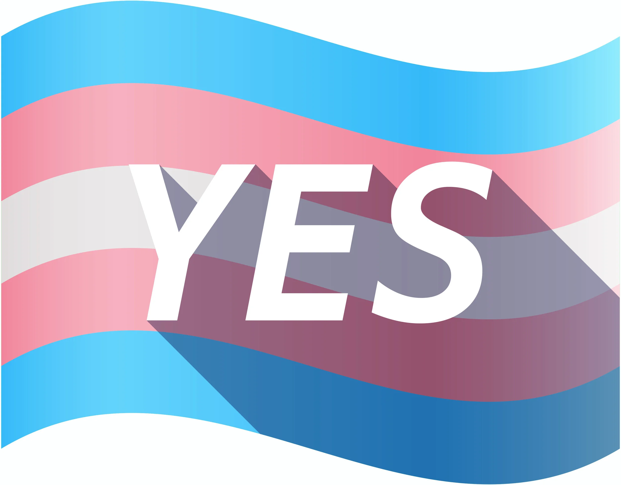 TransYes.jpg