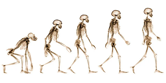Evolution Series at St Bride's
