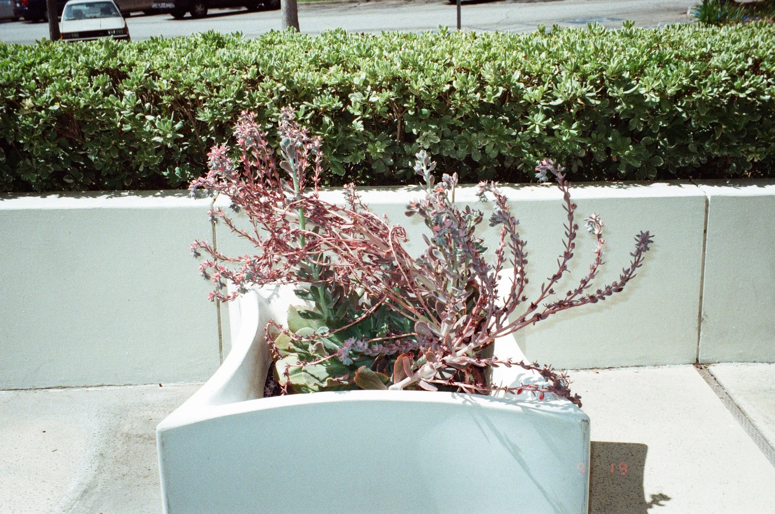 Glendale, California. September 2019.