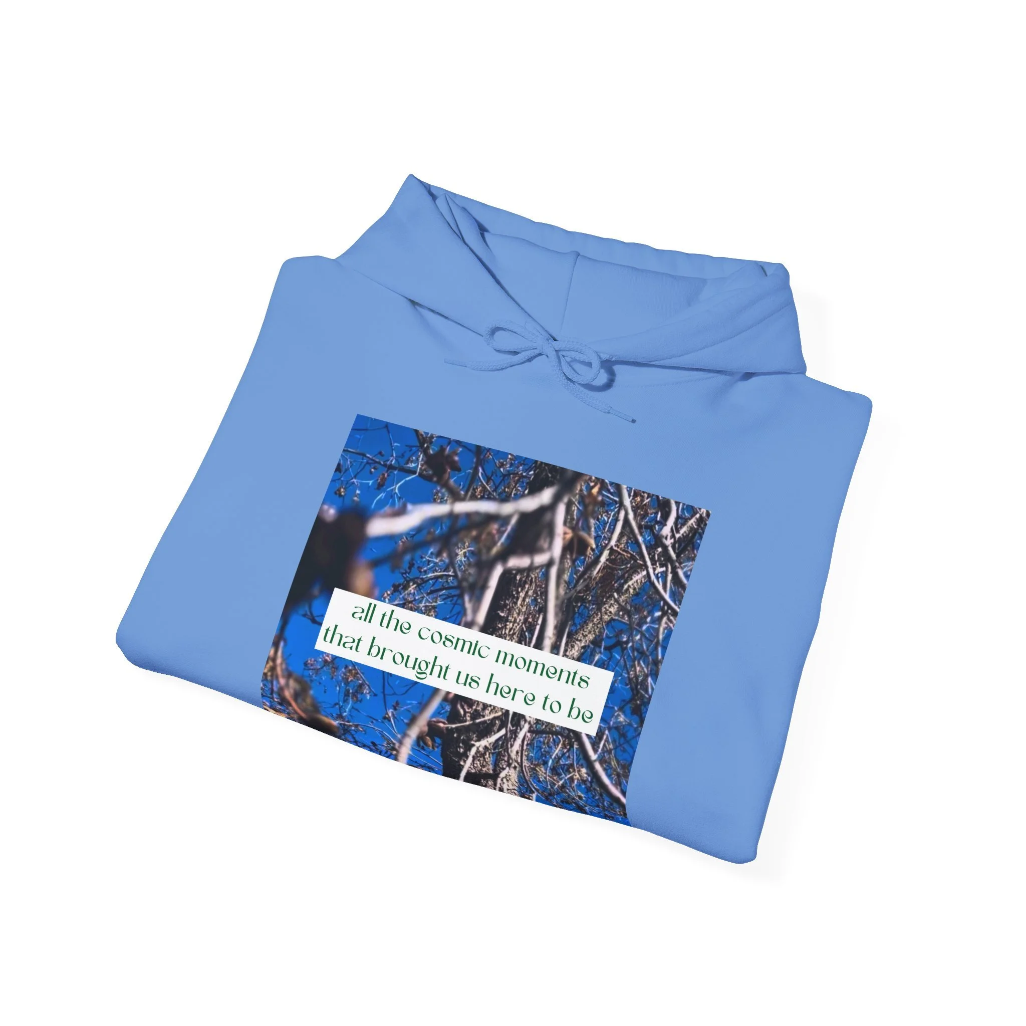 6f5cfe38f94c0878e5811caef9379521