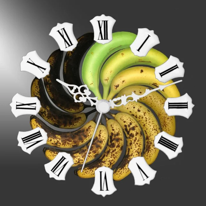 Horloge végétale