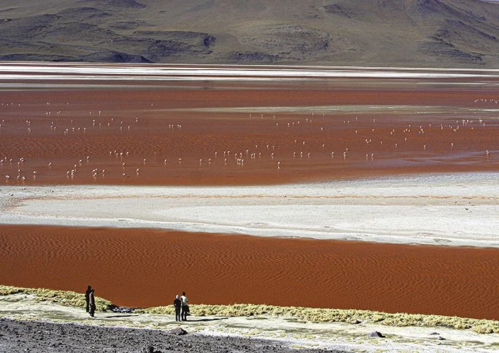 Laguna colorada