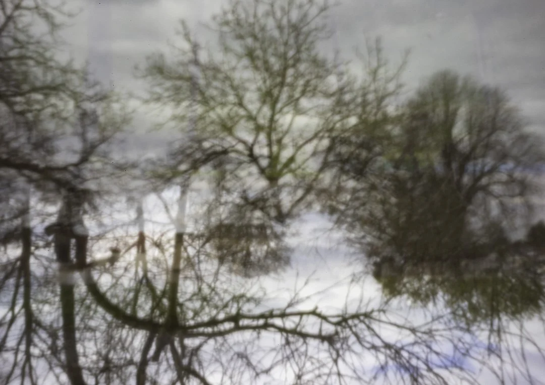 Paysage en mouvement-3