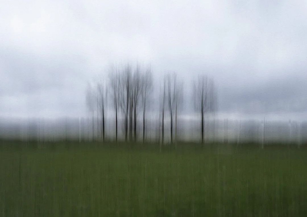 Paysage en mouvement-4