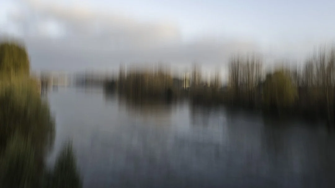 Paysage en mouvement-5