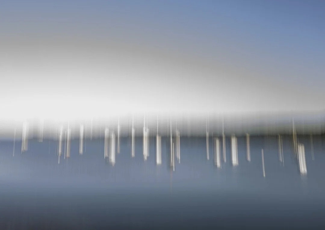 Paysage en mouvement-8