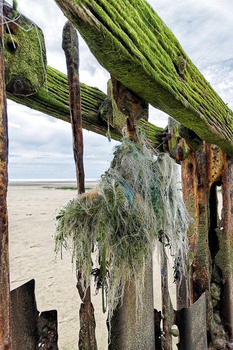 Epis de protection de falaise - 2