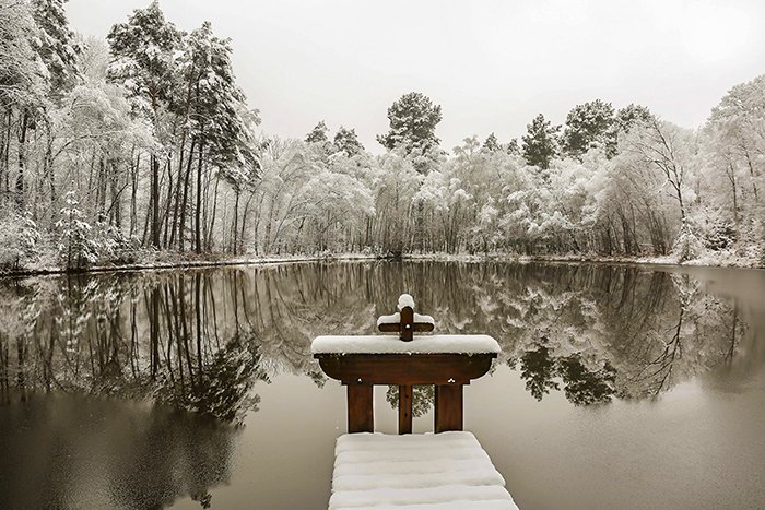 Ellipse givrée en Sologne
