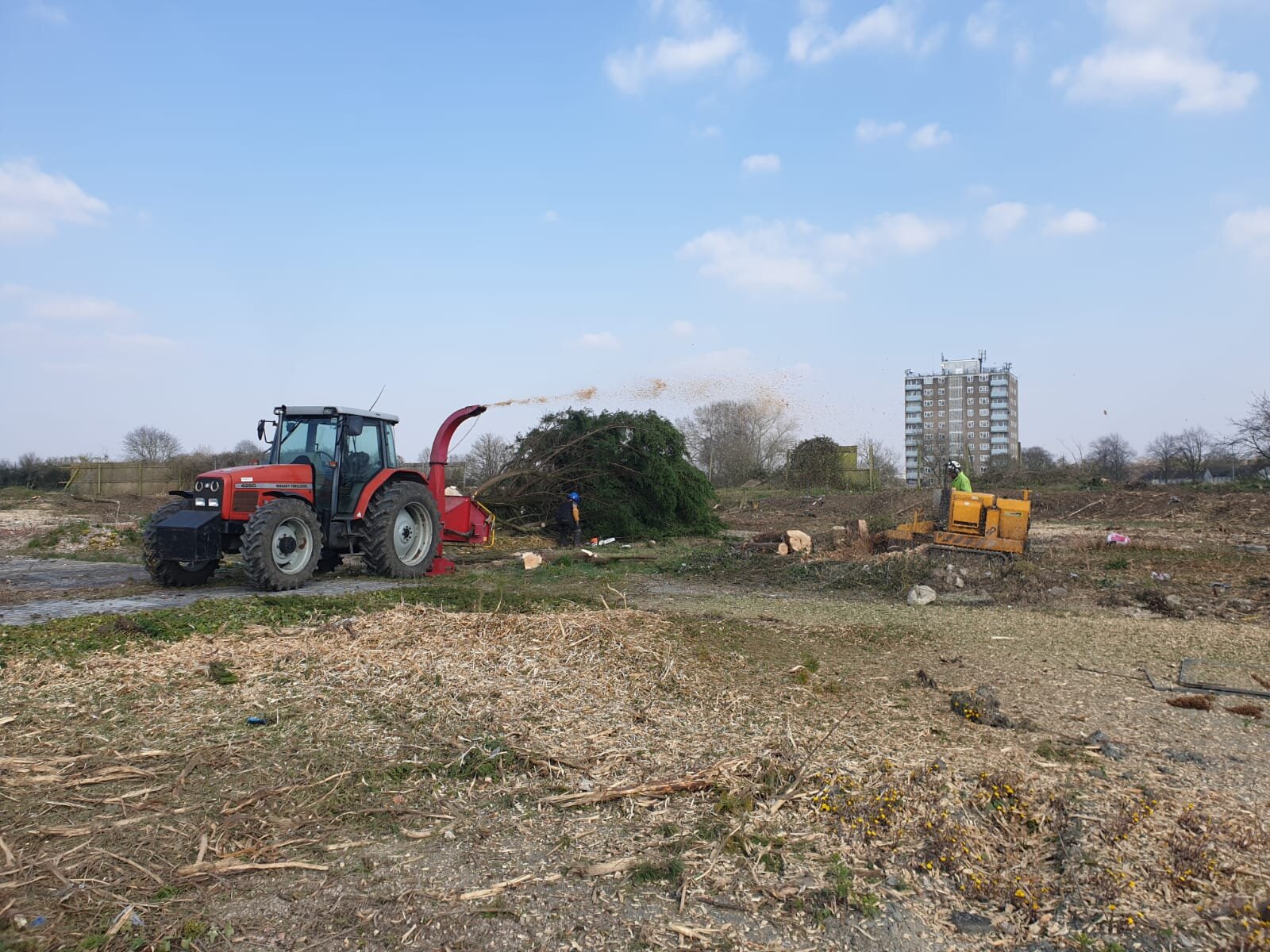 Large_Scale_Site_Clearance_S_Burnett_Tree_Surgery_Wiltshire.jpg