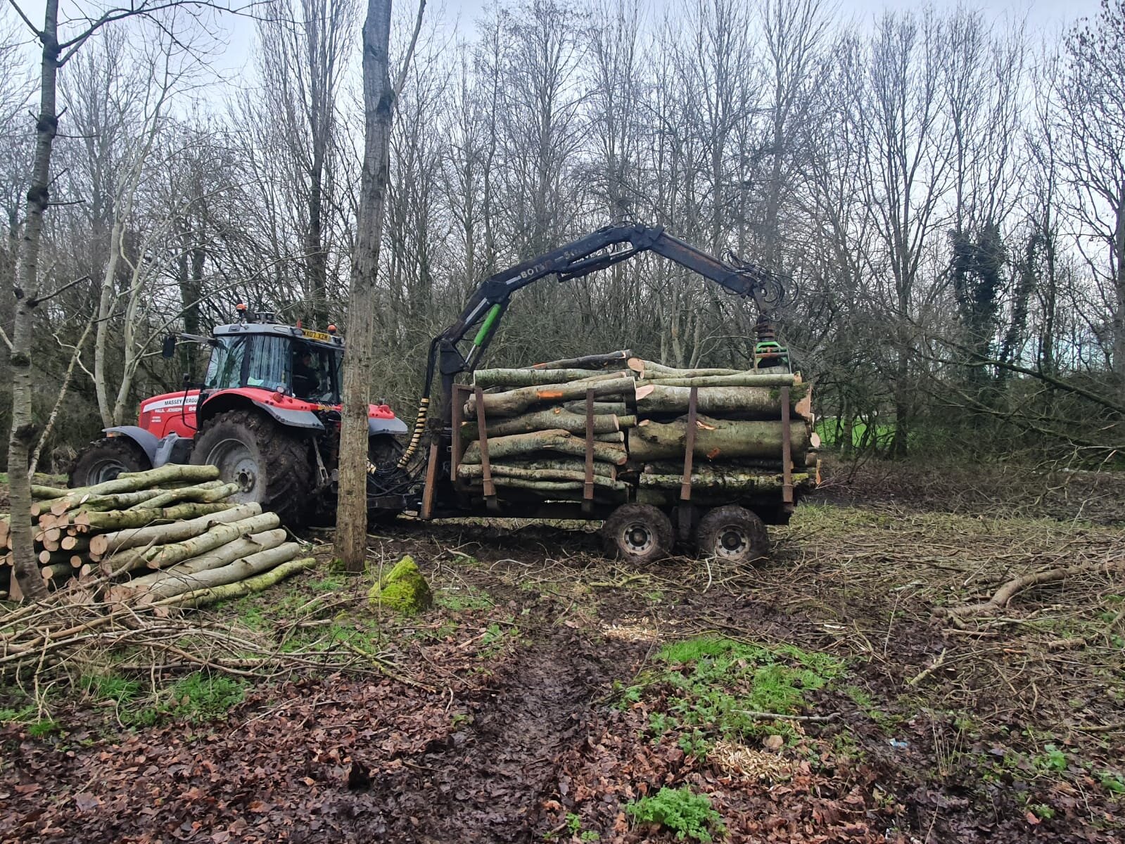 Site_Clearance_Timber_Extraction_S_Burnett_Tree_Surgery.jpg