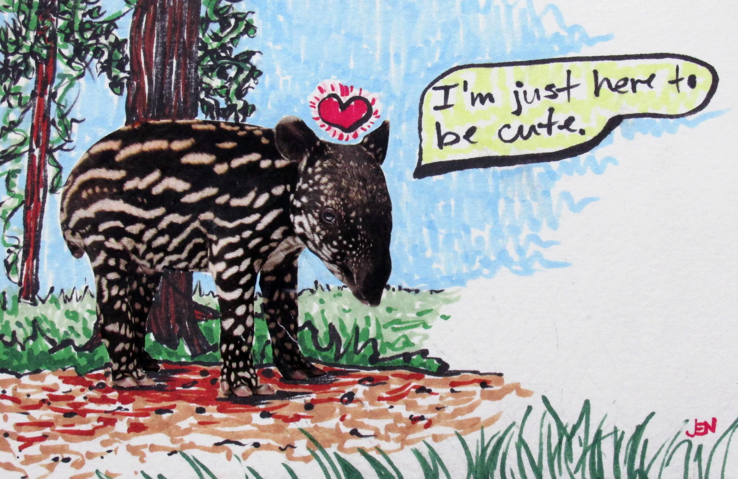 Cute Tapir, 2017