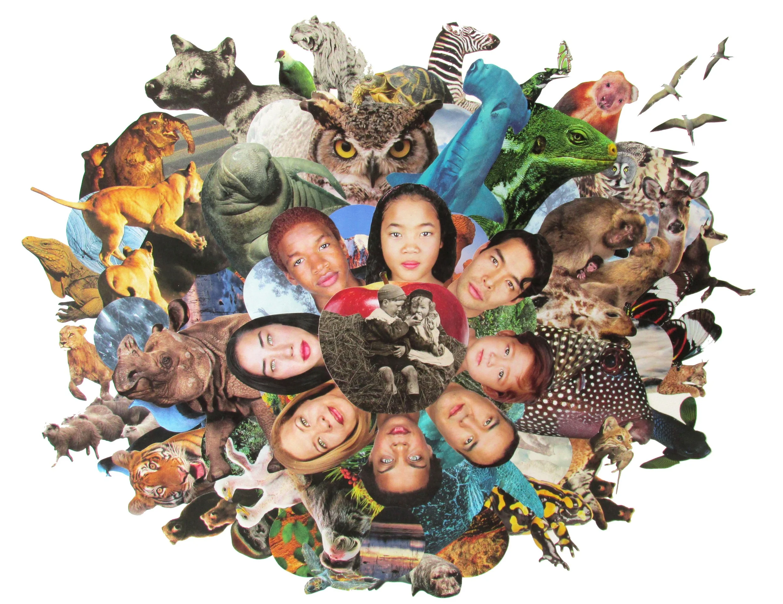 In The Beginning, 2015