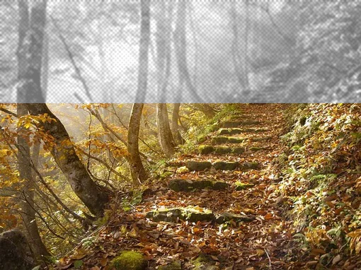 scenery try2.jpg