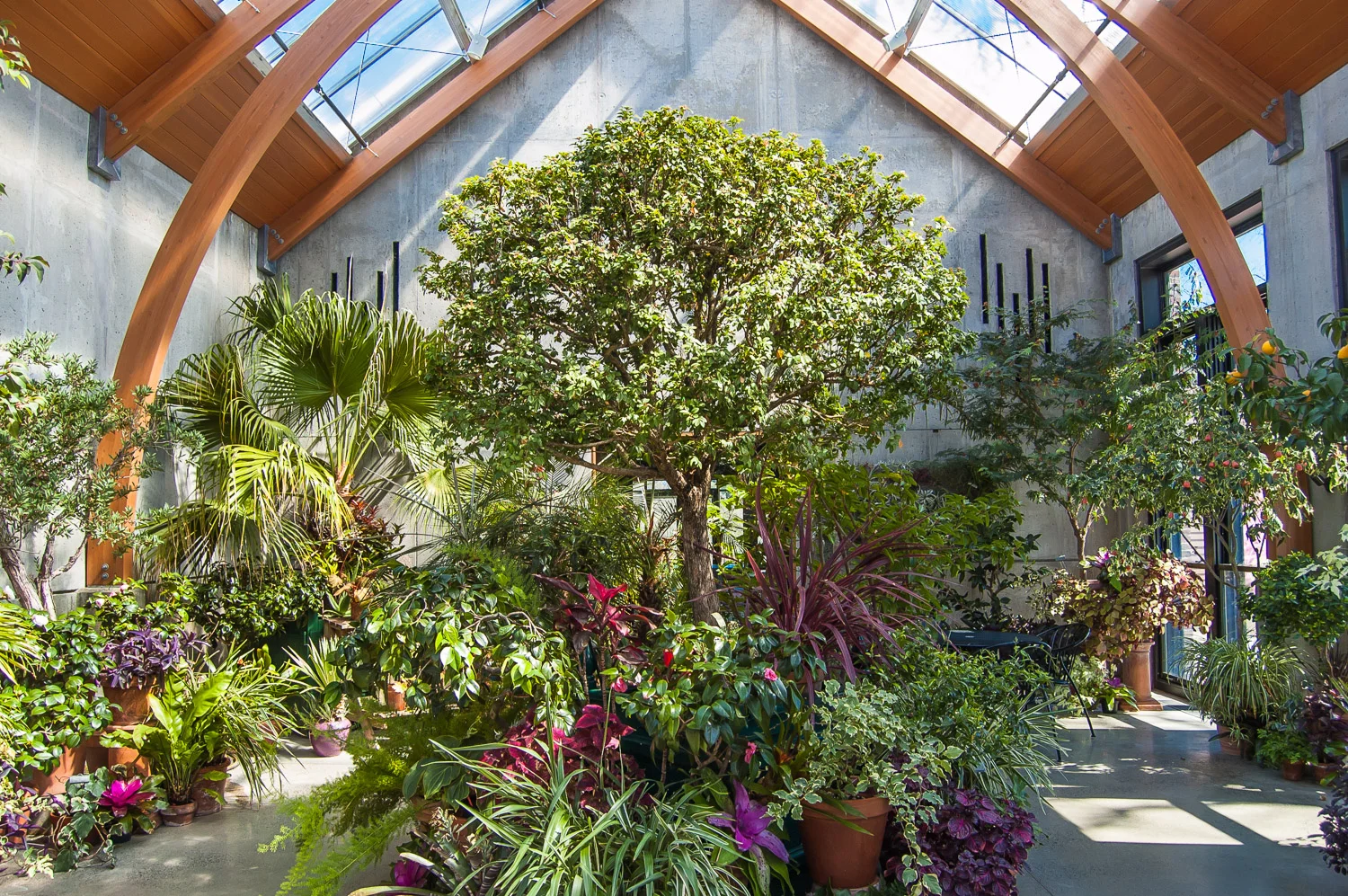 The Limonaia, Tower Hill Botanic Garden