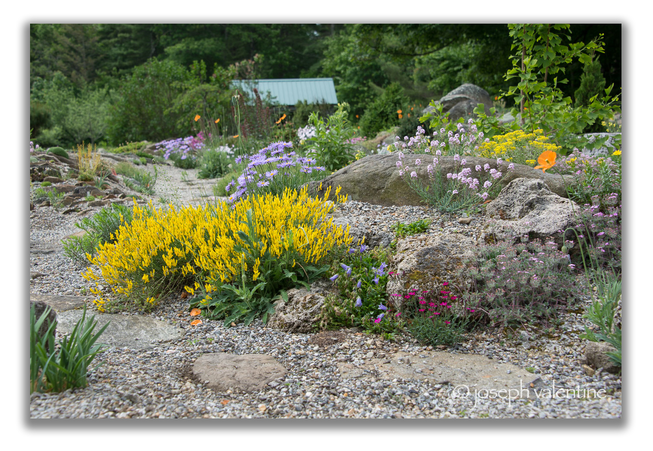 The rock garden at Bruce Lockhart’s Swift River Farm in Petersham, Massachusetts.