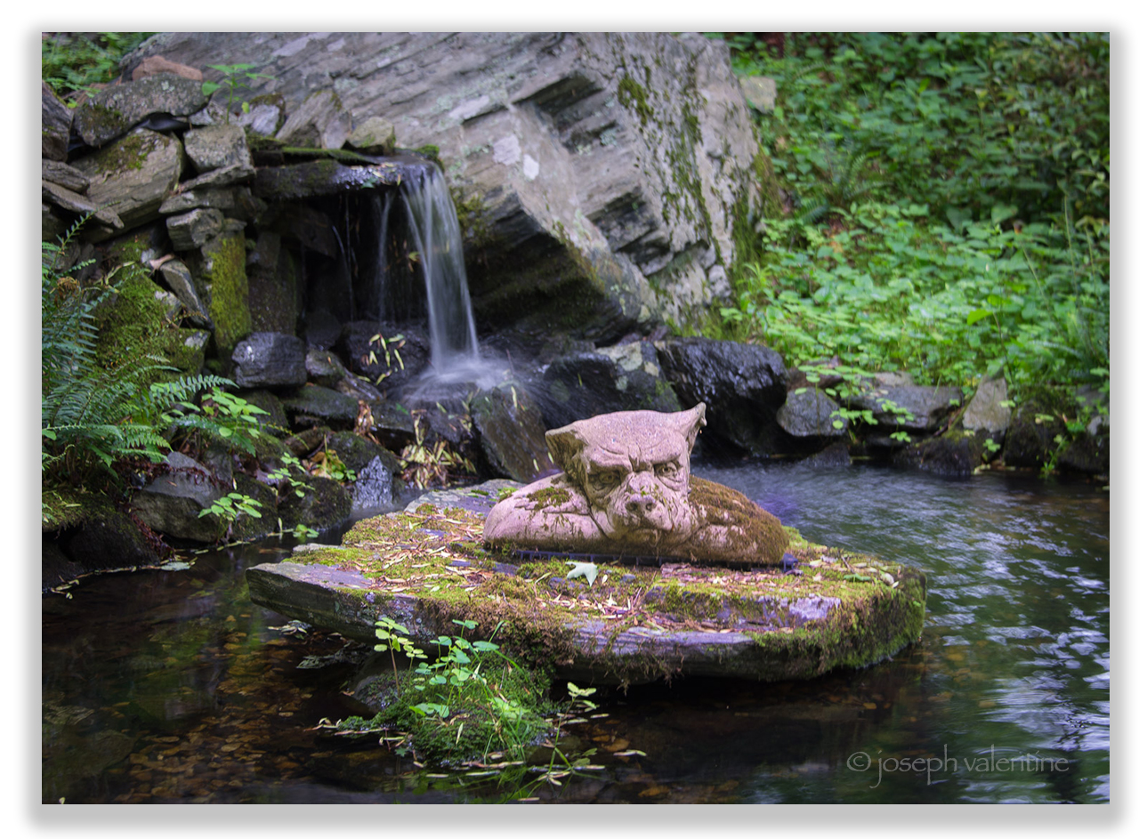 Photo location: The woodland garden at Brush Hill, Barbara Paul Robinson’s garden in Connecticut.