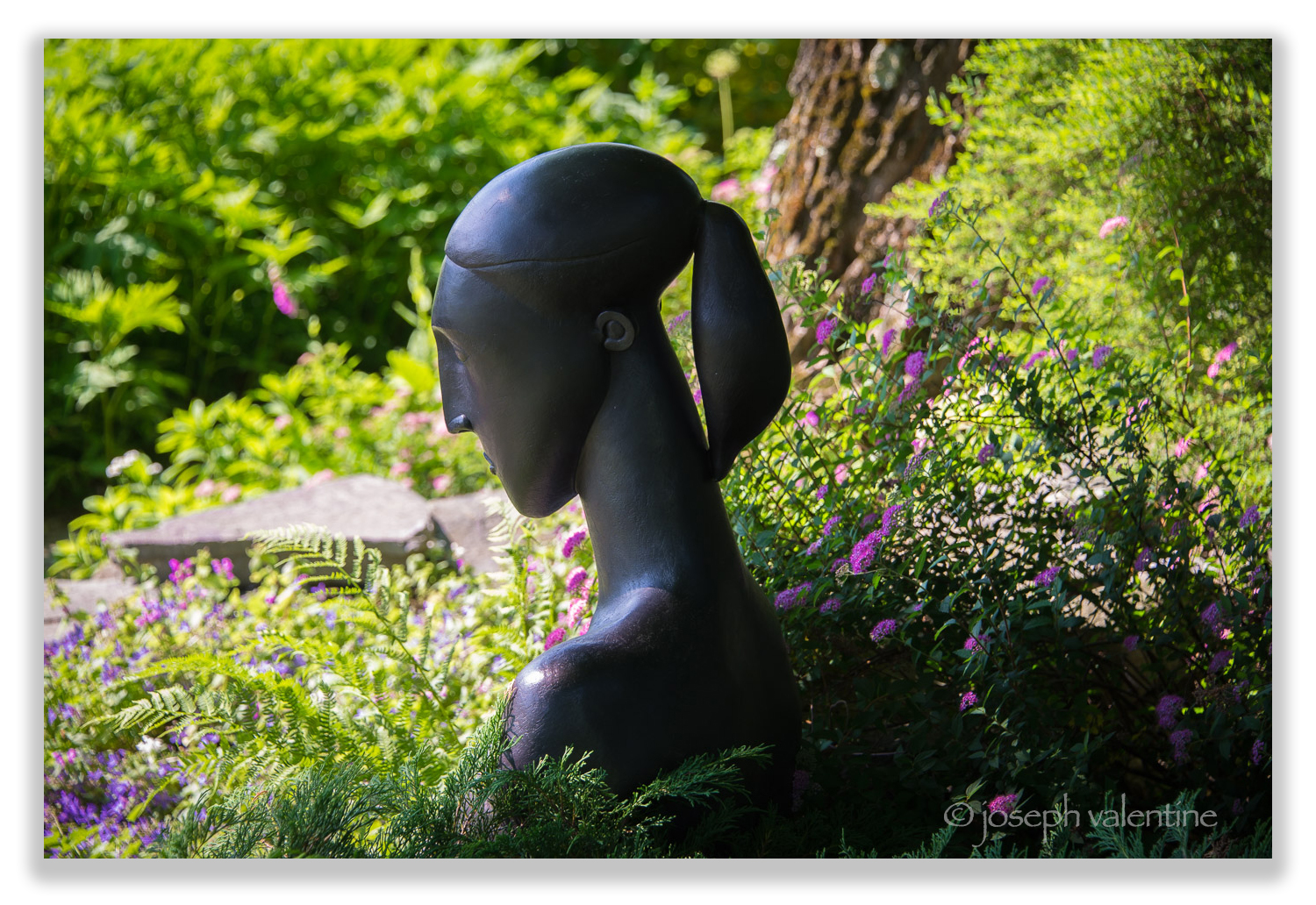 This sleek and sophisticated lady seems to emerge from the plantings in Gordon and Mary Hayward’s Vermont garden.