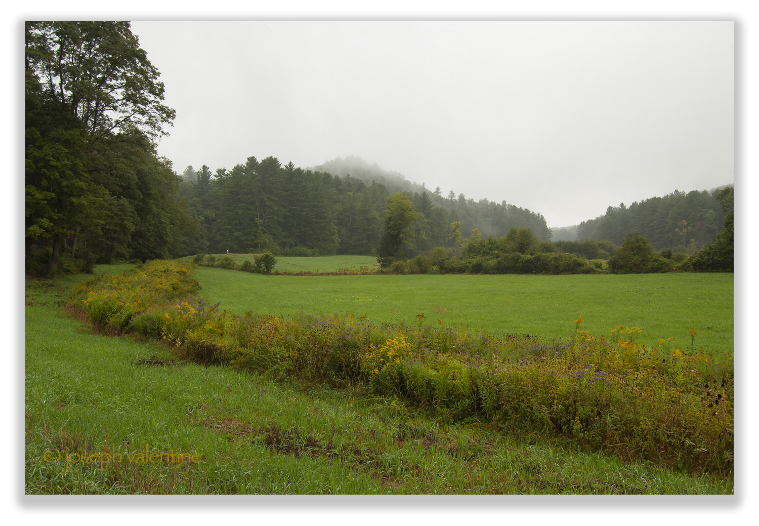 On a rainy day, mist hangs over the hills at Scott Farm in Dummerston, Vermont. 