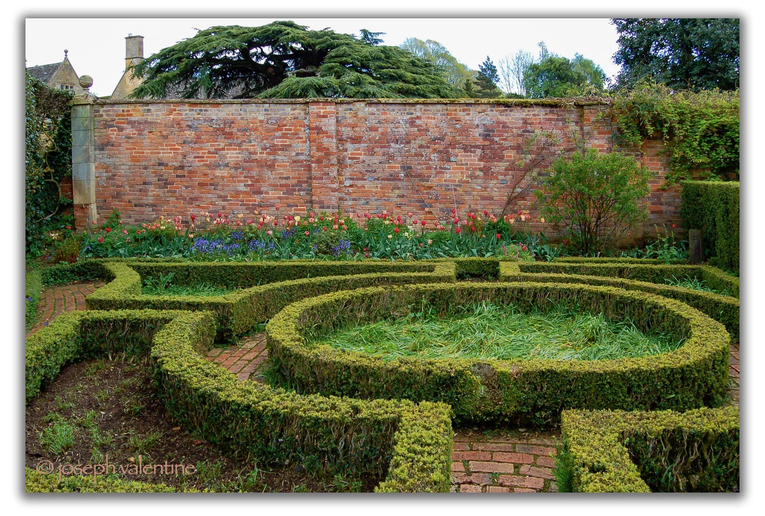 The parterre in the Fuschia Garden at Hidcote.