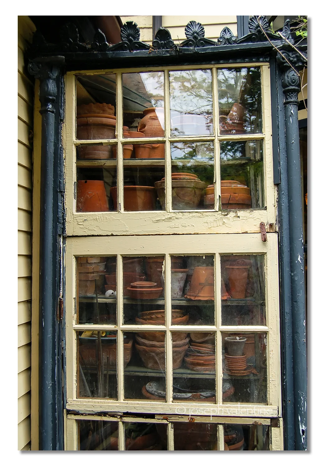 Click on any photo to enlarge.