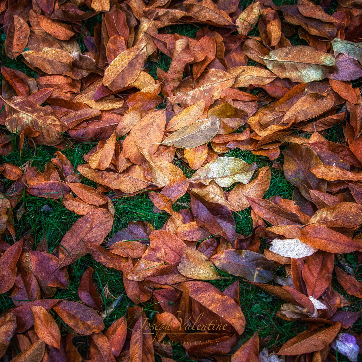Nikon D610 Nikkor 28-300mm f/3.5-5.6 1/45 sec f/4.2 45mm ISO 250