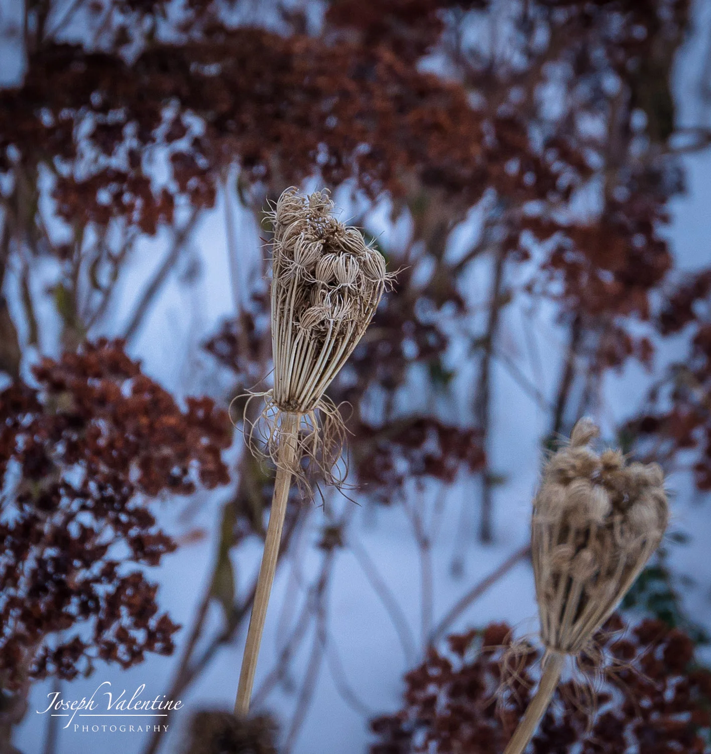 Nikon D610 Nikkor 16-35mm f/4.0 1/45 sec f/4.0 35mm ISO 500