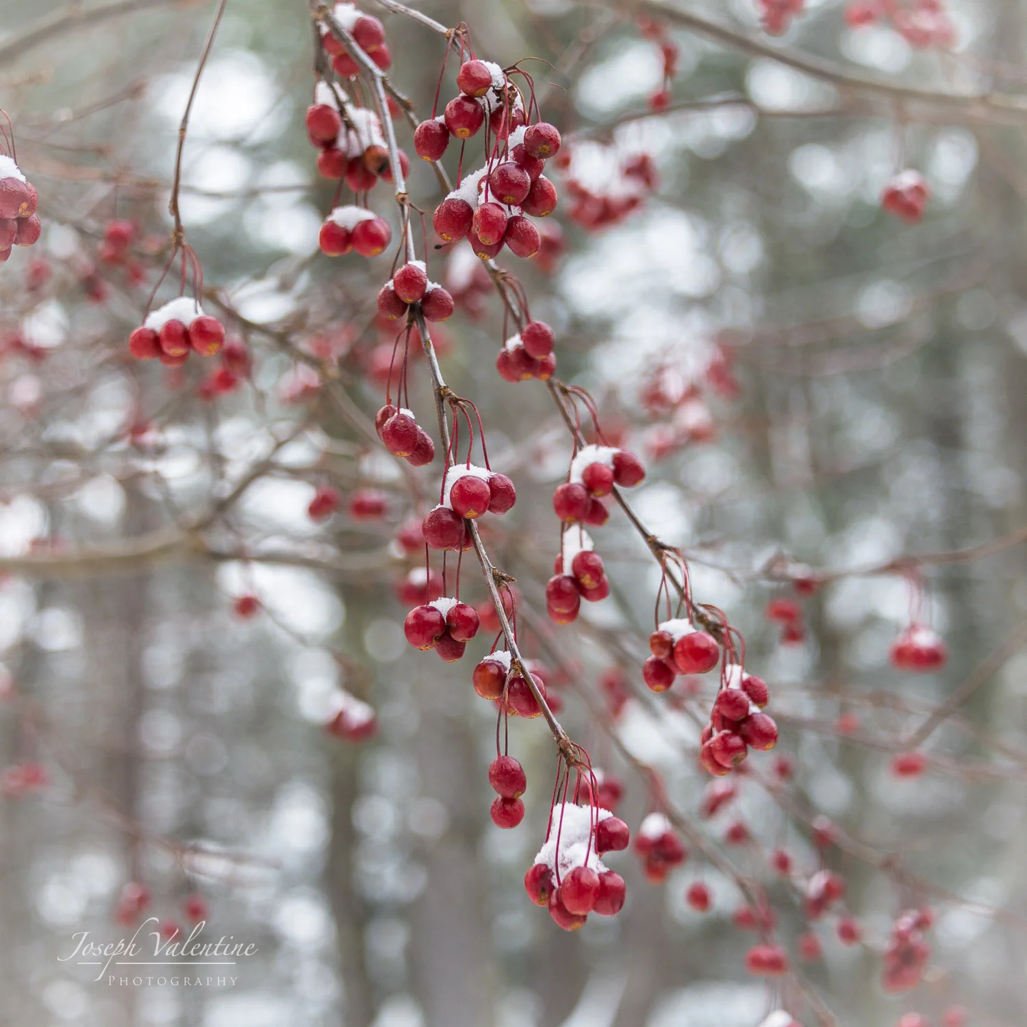 Nikon D610 Nikkor 28-300mm f/3.5-5.6 1/90 sec f/4.8 68mm ISO320