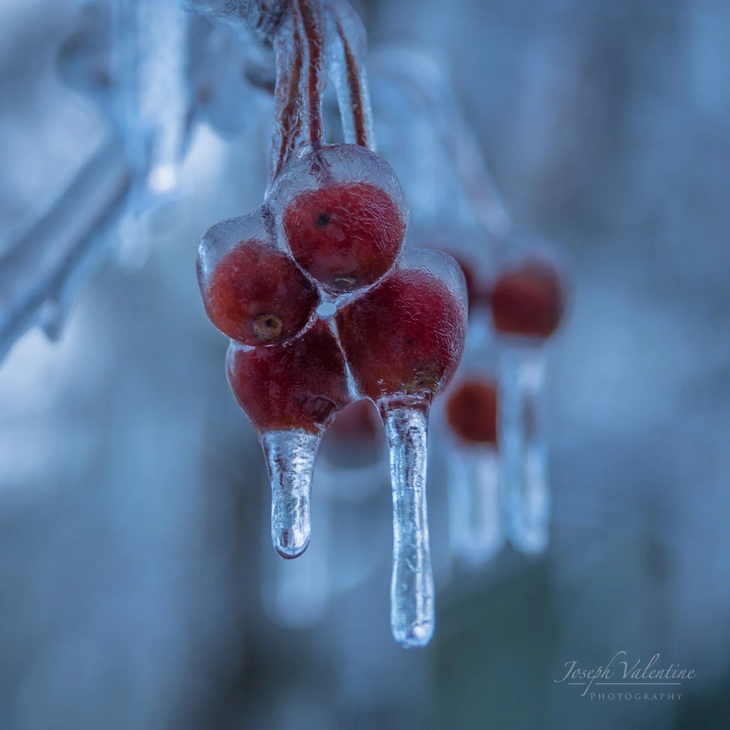 Nikon D610 Nikkor 28-300mm 1/45 sec f/5.6 135mm ISO250