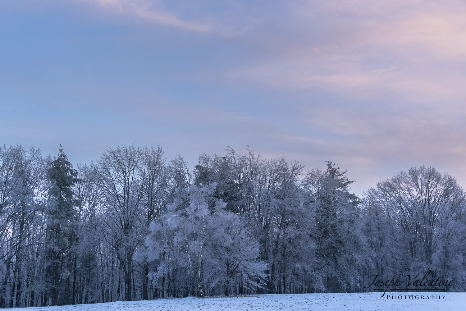 Nikon D610 Nikkor 28-300mm 1/125 sec f/6.7 48mm ISO250