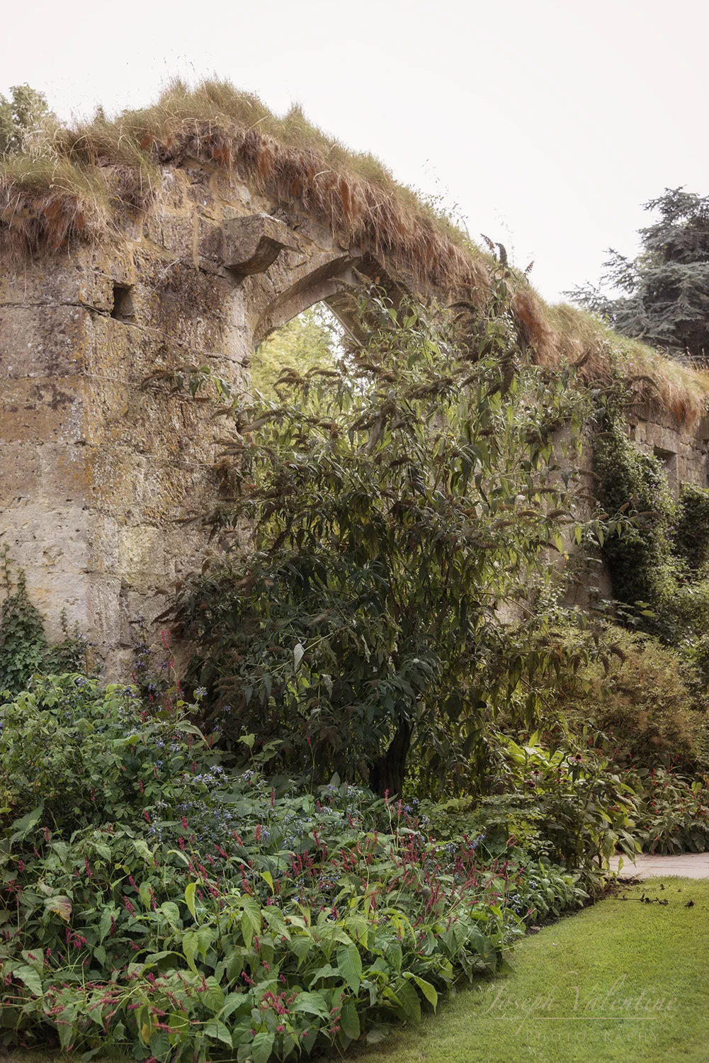 Nikon D810 Nikkor 28-300mm 1/100 sec f/5.0 50mm ISO 125 Photo taken at Sudeley Castle, UK