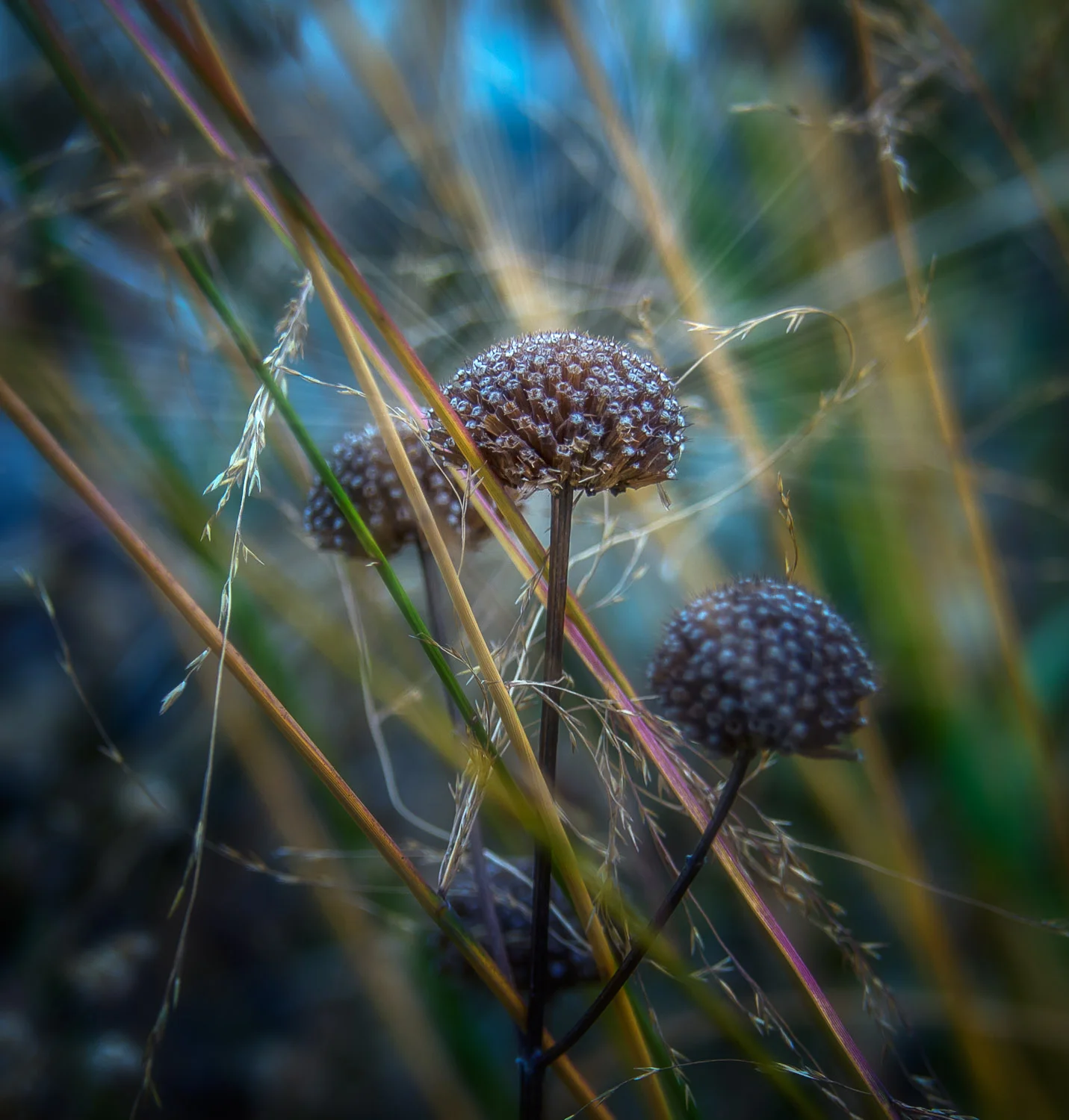 Nikon D610 Nikkor 28-300mm f/3.5-5.6 1/45 sec f/5.6 98mm ISO 250