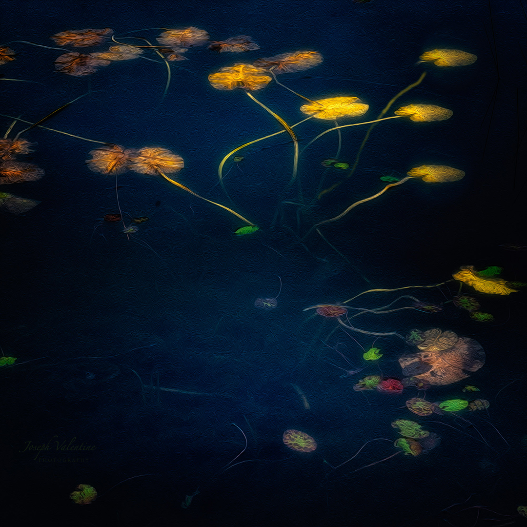 Nikon D610 Nikkor 24-70mm f/2.8 1/50 sec f/16 70mm ISO 400
