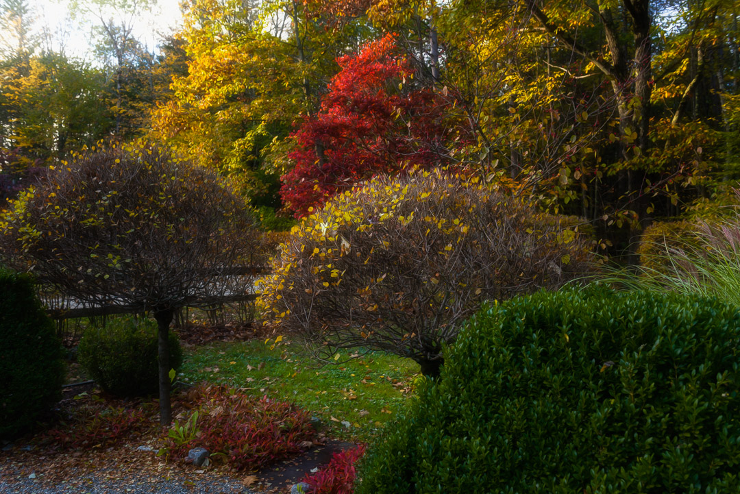 Nikon D610 Nikkor 24-70mm f/2.8 1/160 sec f/7.1 29mm ISO 400